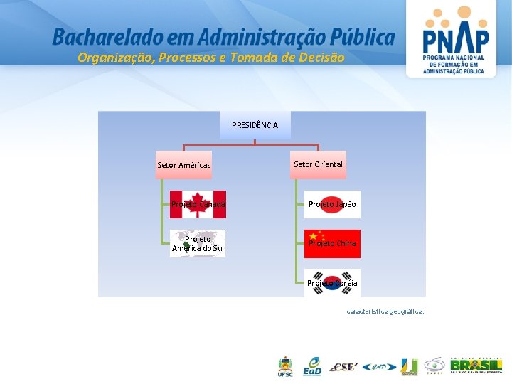 Organização, Processos e Tomada de Decisão PRESIDÊNCIA Setor Américas Setor Oriental Projeto Canadá Projeto