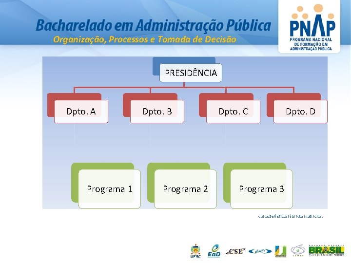 Organização, Processos e Tomada de Decisão PRESIDÊNCIA Dpto. A Programa 1 Dpto. B Programa