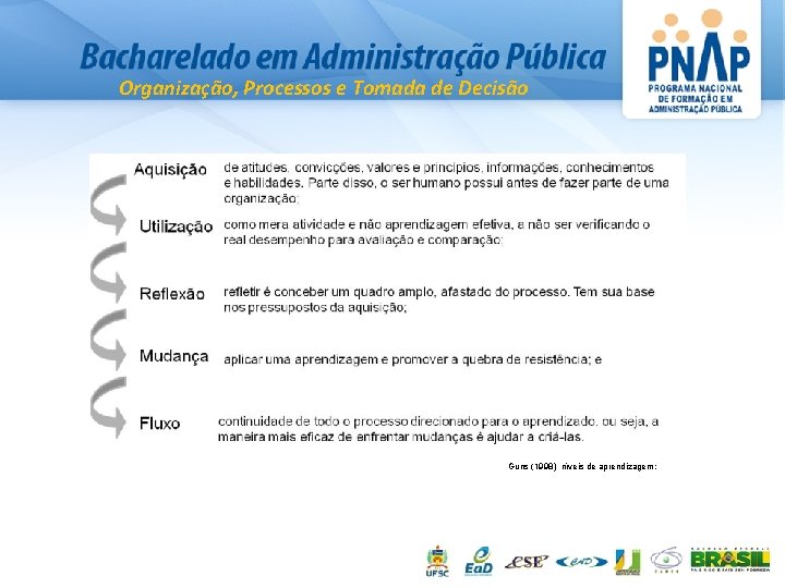 Organização, Processos e Tomada de Decisão Guns (1998) níveis de aprendizagem: 