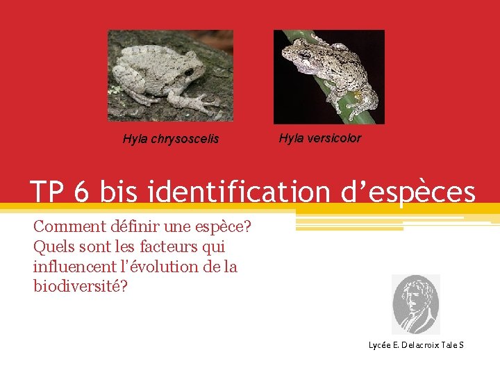 Hyla chrysoscelis Hyla versicolor TP 6 bis identification d’espèces Comment définir une espèce? Quels