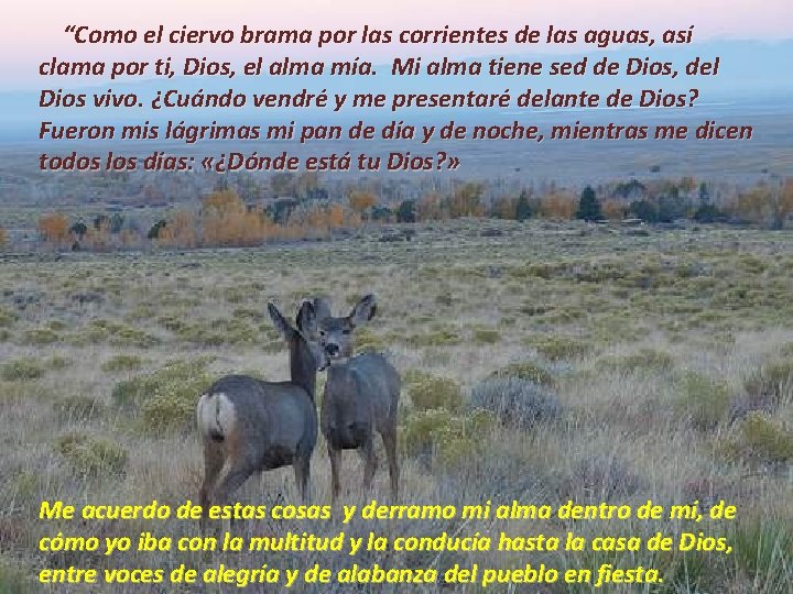 “Como el ciervo brama por las corrientes de las aguas, así clama por ti, “Como el ciervo brama por las corrientes de las aguas, así clama por ti,
