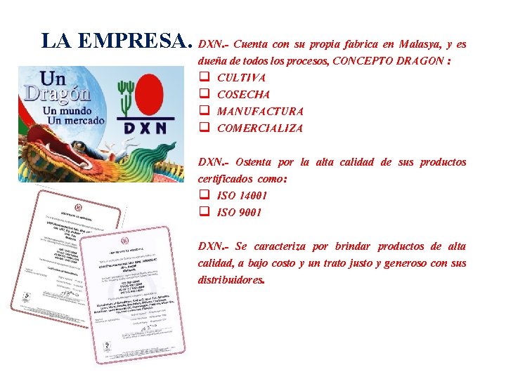 LA EMPRESA. DXN. - Cuenta con su propia fabrica en Malasya, y es dueña