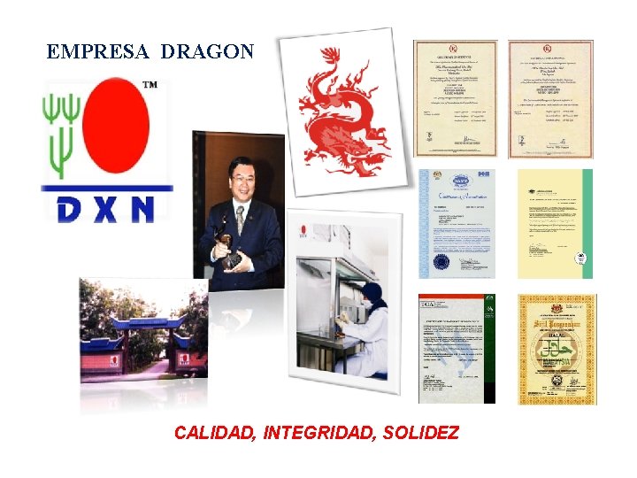 EMPRESA DRAGON CALIDAD, INTEGRIDAD, SOLIDEZ 