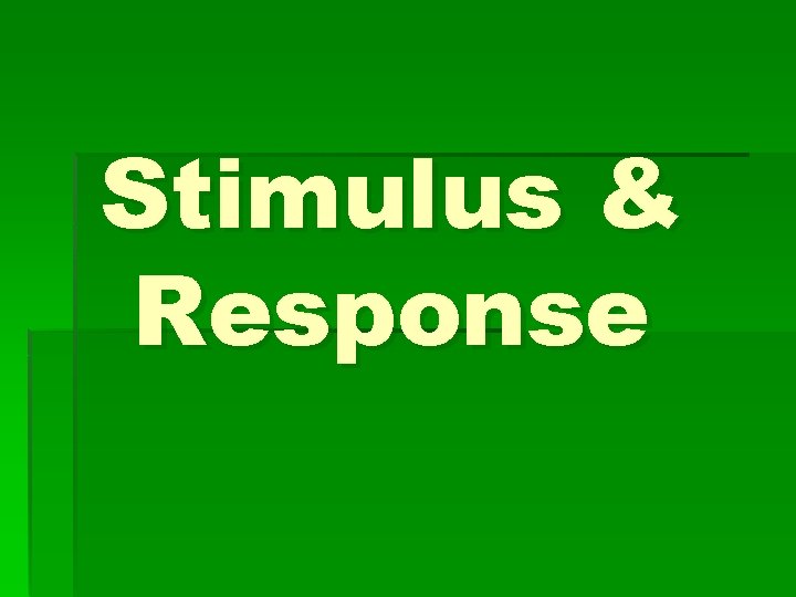 Stimulus & Response 