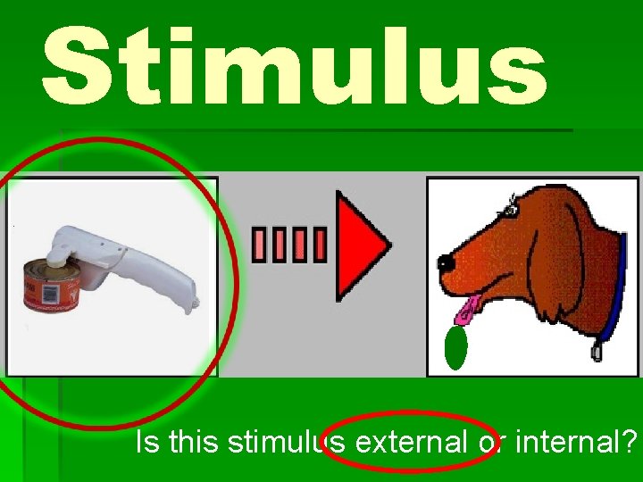 Stimulus Is this stimulus external or internal? 