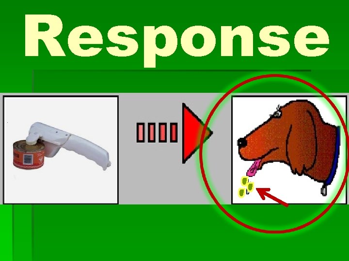 Response 