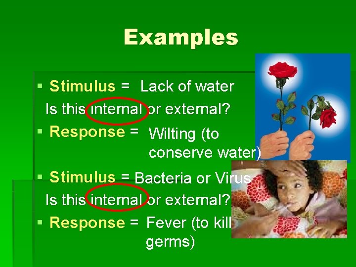 Examples § Stimulus = Lack of water Is this internal or external? § Response