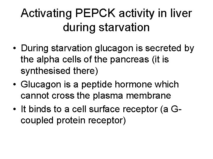 Activating PEPCK activity in liver during starvation • During starvation glucagon is secreted by