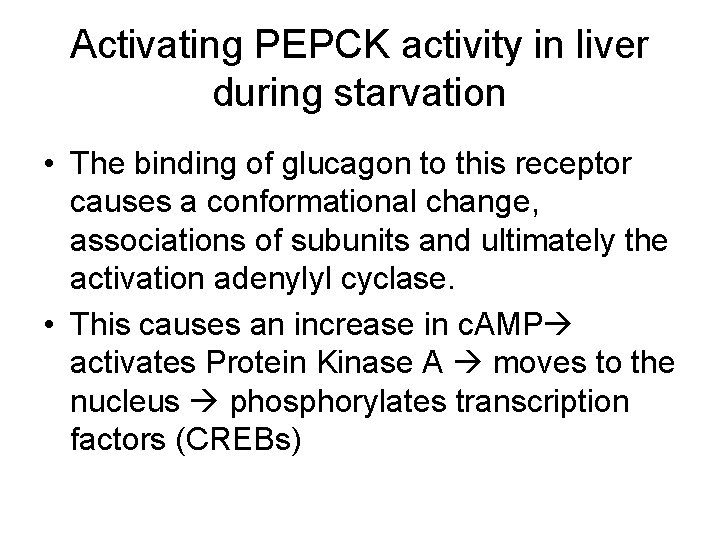 Activating PEPCK activity in liver during starvation • The binding of glucagon to this