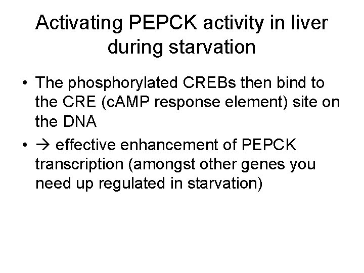 Activating PEPCK activity in liver during starvation • The phosphorylated CREBs then bind to