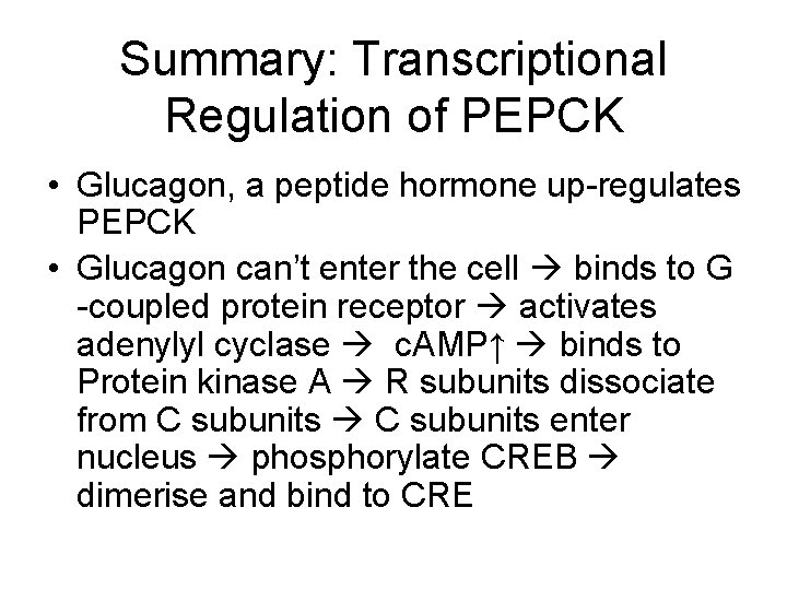 Summary: Transcriptional Regulation of PEPCK • Glucagon, a peptide hormone up-regulates PEPCK • Glucagon