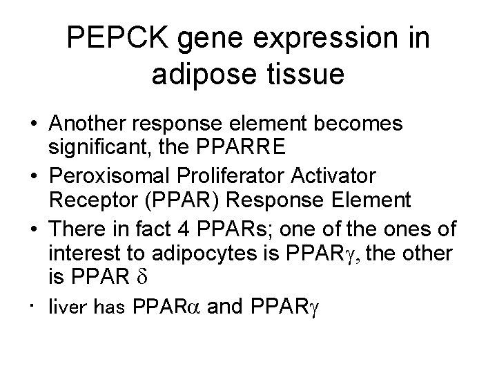 PEPCK gene expression in adipose tissue • Another response element becomes significant, the PPARRE