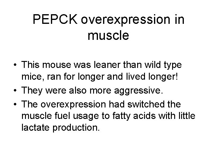 PEPCK overexpression in muscle • This mouse was leaner than wild type mice, ran