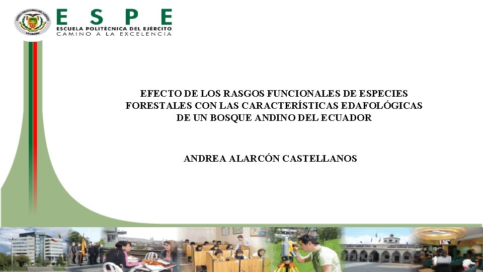 EFECTO DE LOS RASGOS FUNCIONALES DE ESPECIES FORESTALES CON LAS CARACTERÍSTICAS EDAFOLÓGICAS DE UN EFECTO DE LOS RASGOS FUNCIONALES DE ESPECIES FORESTALES CON LAS CARACTERÍSTICAS EDAFOLÓGICAS DE UN