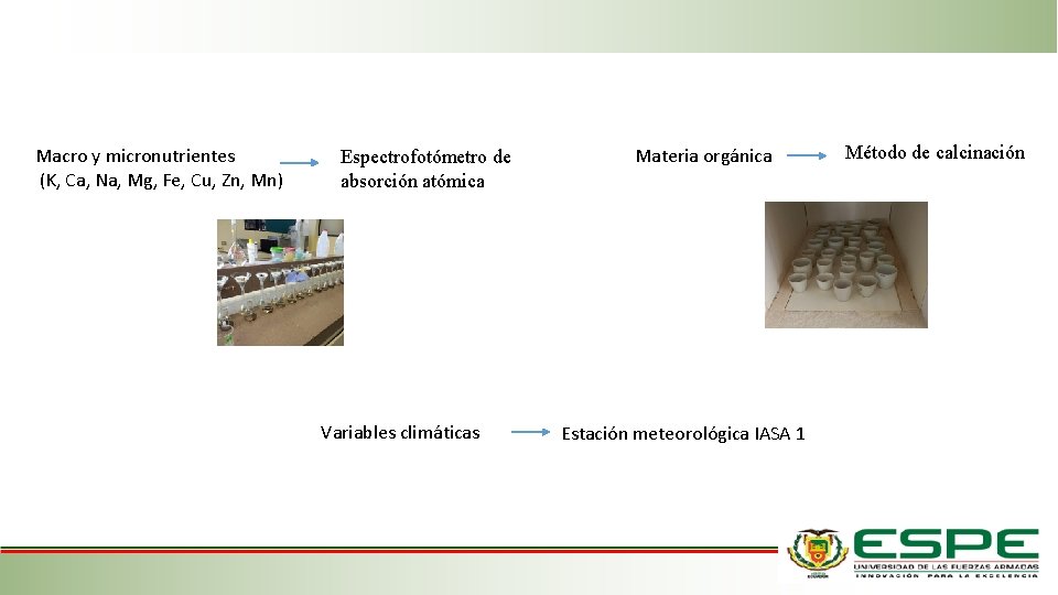 Macro y micronutrientes (K, Ca, Na, Mg, Fe, Cu, Zn, Mn) Espectrofotómetro de absorción Macro y micronutrientes (K, Ca, Na, Mg, Fe, Cu, Zn, Mn) Espectrofotómetro de absorción