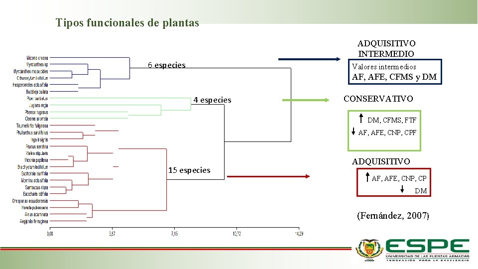 Tipos funcionales de plantas ADQUISITIVO INTERMEDIO 6 especies Valores intermedios AF, AFE, CFMS y Tipos funcionales de plantas ADQUISITIVO INTERMEDIO 6 especies Valores intermedios AF, AFE, CFMS y