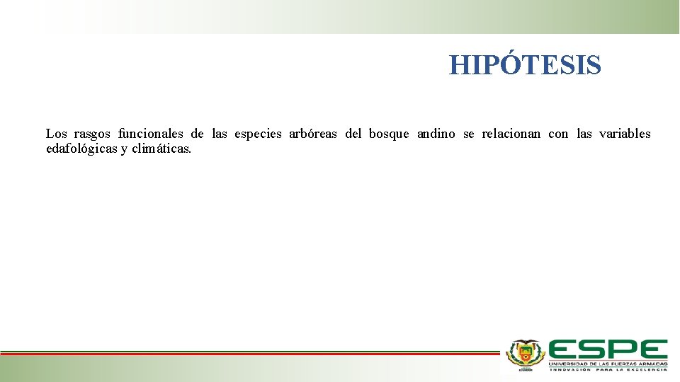 HIPÓTESIS Los rasgos funcionales de las especies arbóreas del bosque andino se relacionan con HIPÓTESIS Los rasgos funcionales de las especies arbóreas del bosque andino se relacionan con