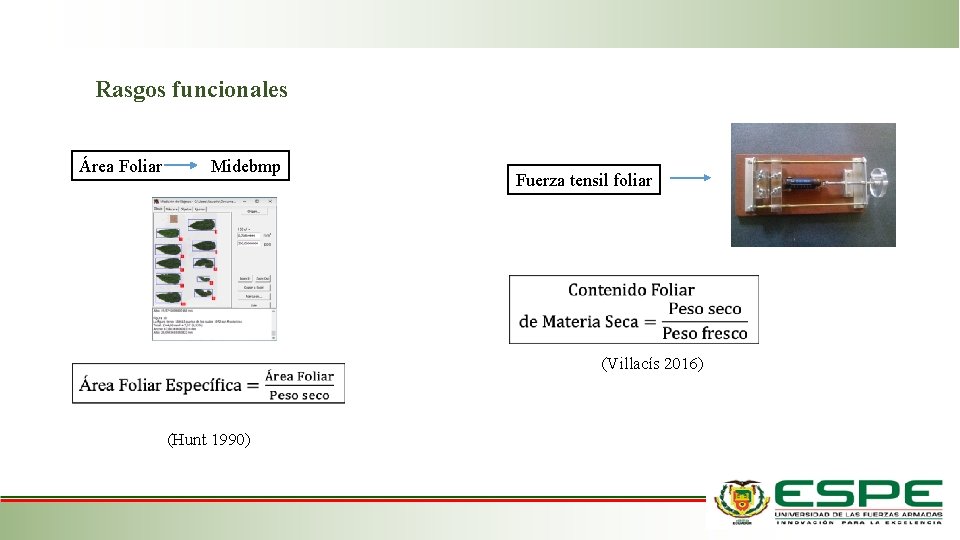 Rasgos funcionales Área Foliar Midebmp Fuerza tensil foliar (Villacís 2016) (Hunt 1990) Rasgos funcionales Área Foliar Midebmp Fuerza tensil foliar (Villacís 2016) (Hunt 1990)