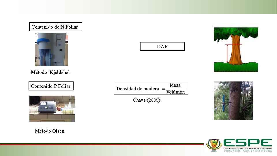 Contenido de N Foliar DAP Método Kjeldahal Contenido P Foliar Chave (2006) Método Olsen Contenido de N Foliar DAP Método Kjeldahal Contenido P Foliar Chave (2006) Método Olsen