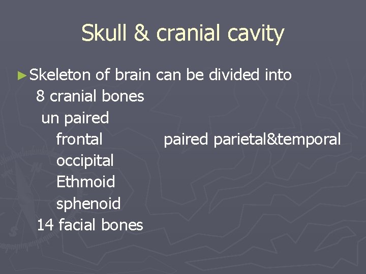 Skull & cranial cavity ► Skeleton of brain can be divided into 8 cranial