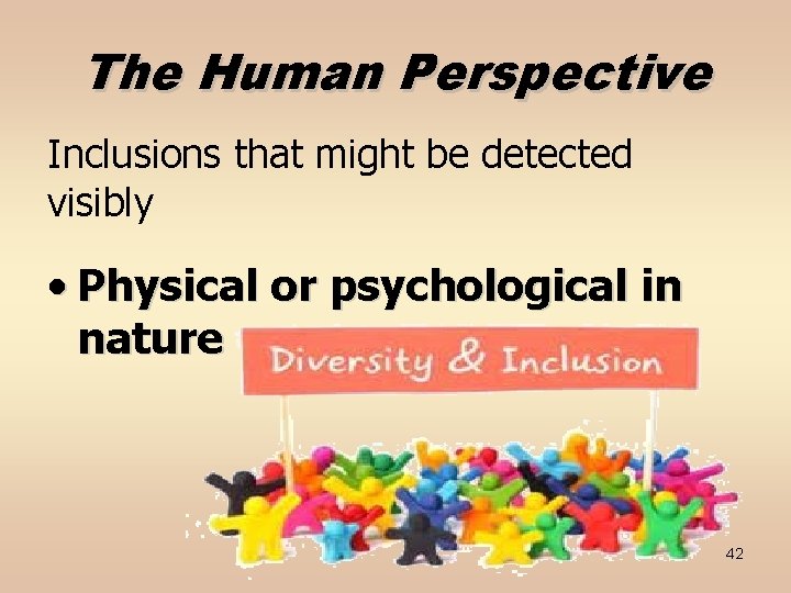 The Human Perspective Inclusions that might be detected visibly • Physical or psychological in