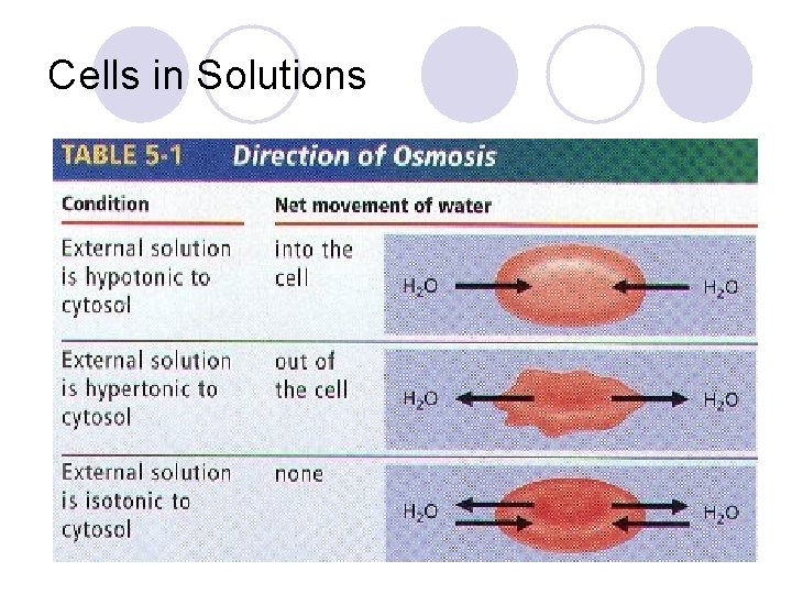 Cells in Solutions 