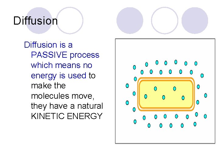 Diffusion is a PASSIVE process which means no energy is used to make the