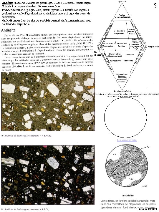 Andésite : roche volcanique en général gris claire (leucocrate) microlitique fluidale à verre peu Andésite : roche volcanique en général gris claire (leucocrate) microlitique fluidale à verre peu