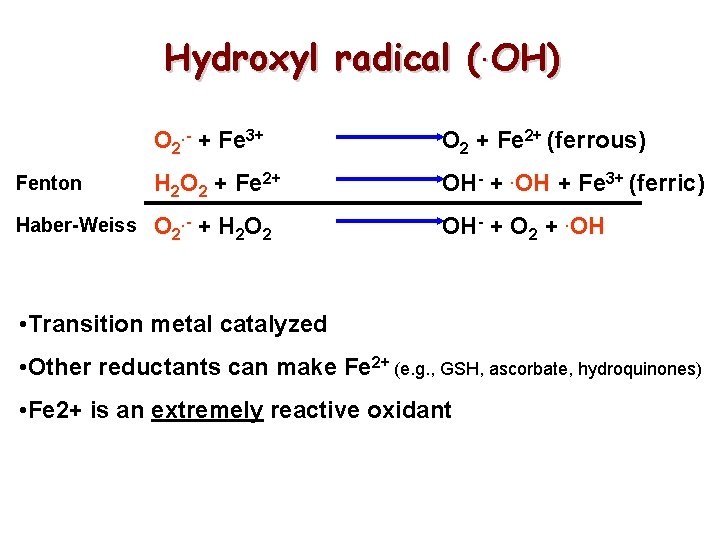 Hydroxyl radical (. OH) O 2. - + Fe 3+ O 2 + Fe Hydroxyl radical (. OH) O 2. - + Fe 3+ O 2 + Fe