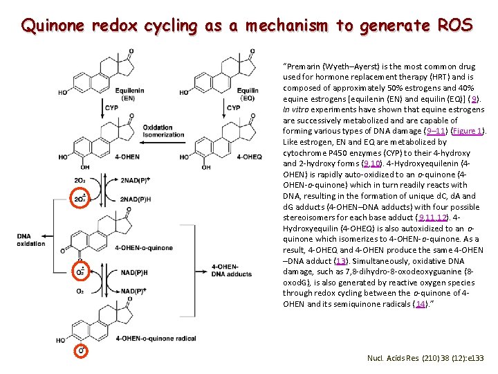 Quinone redox cycling as a mechanism to generate ROS “Premarin (Wyeth–Ayerst) is the most Quinone redox cycling as a mechanism to generate ROS “Premarin (Wyeth–Ayerst) is the most