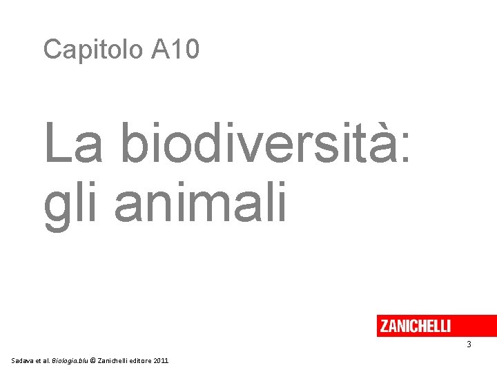 Capitolo A 10 La biodiversità: gli animali 3 Sadava et al. Biologia. blu ©