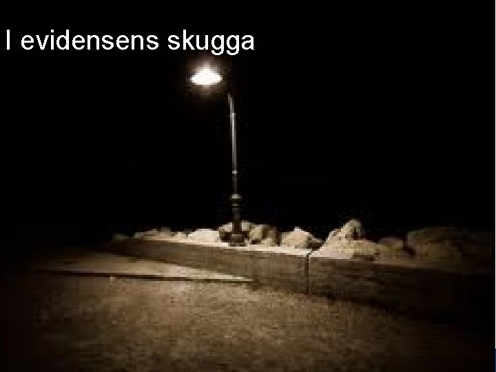 I evidensens skugga www. gu. se 