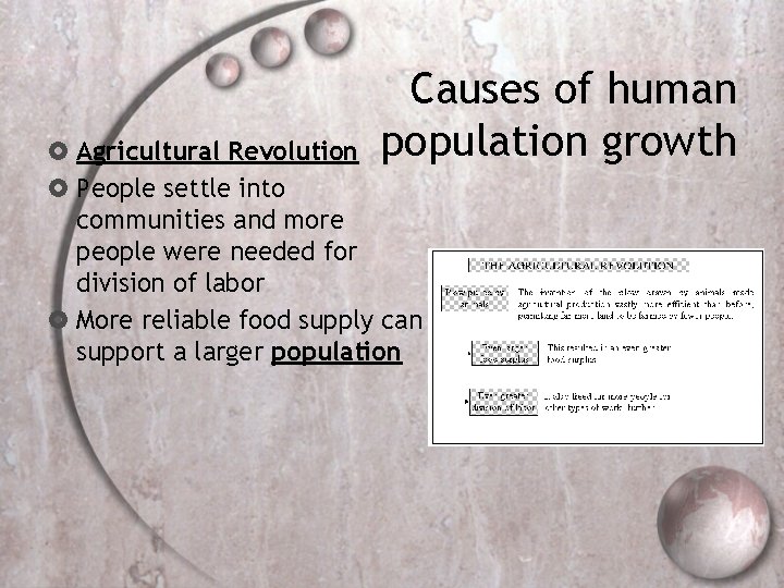 Causes of human population growth Agricultural Revolution People settle into communities and more people