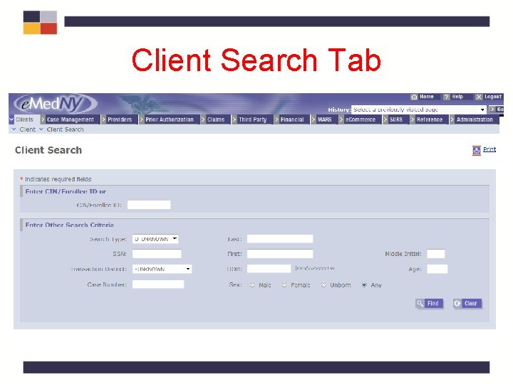 Client Search Tab Client Search Tab