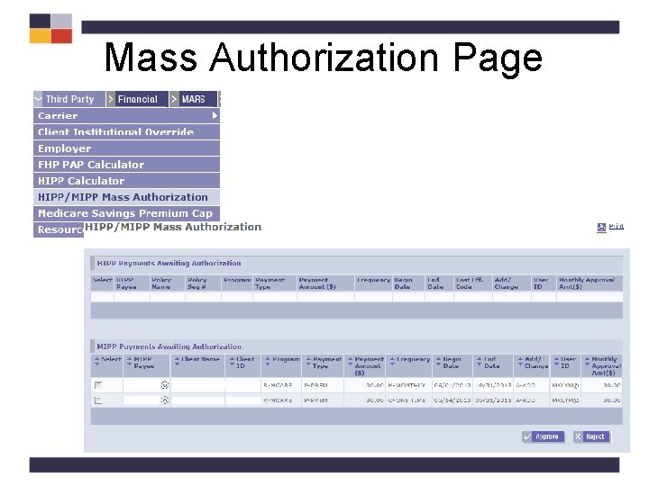 Mass Authorization Page Mass Authorization Page