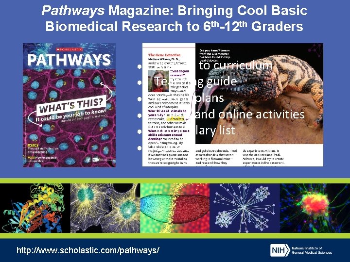 Pathways Magazine: Bringing Cool Basic Biomedical Research to 6 th-12 th Graders ● ●