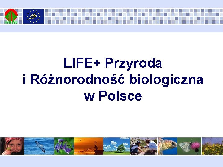 LIFE+ Przyroda i Różnorodność biologiczna w Polsce 