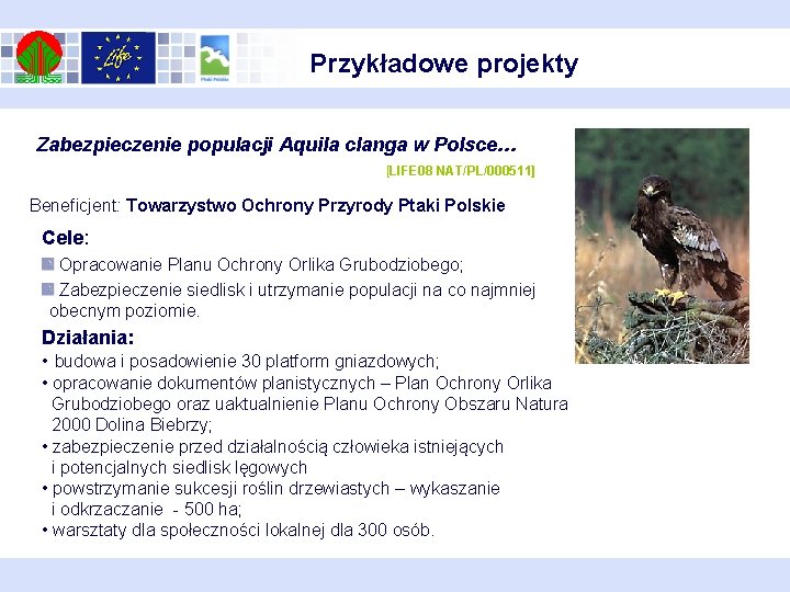 Przykładowe projekty Zabezpieczenie populacji Aquila clanga w Polsce… [LIFE 08 NAT/PL/000511] Beneficjent: Towarzystwo Ochrony