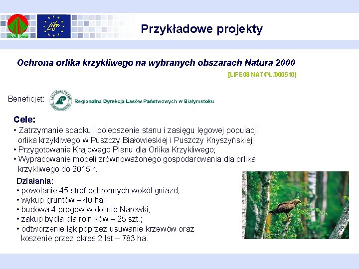 Przykładowe projekty Ochrona orlika krzykliwego na wybranych obszarach Natura 2000 [LIFE 08 NAT/PL/000510] Beneficjet: