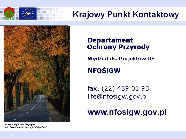 Krajowy Punkt Kontaktowy Departament Ochrony Przyrody Wydział ds. Projektów UE NFOŚi. GW fax. (22)