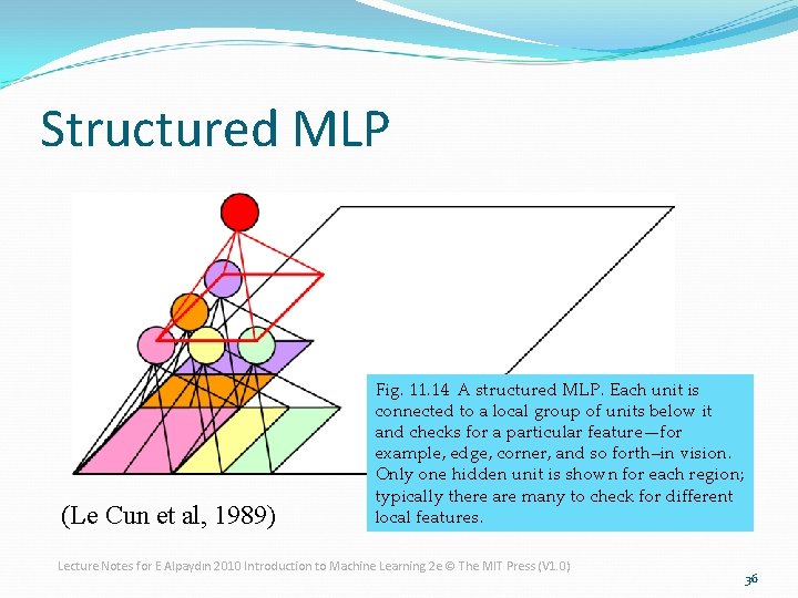 Structured MLP (Le Cun et al, 1989) Fig. 11. 14 A structured MLP. Each