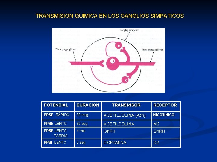 TRANSMISION QUIMICA EN LOS GANGLIOS SIMPATICOS POTENCIAL DURACION TRANSMISOR RECEPTOR PPSE RÁPIDO 30 msg