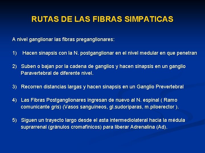 RUTAS DE LAS FIBRAS SIMPATICAS A nivel ganglionar las fibras preganglionares: 1) Hacen sinapsis