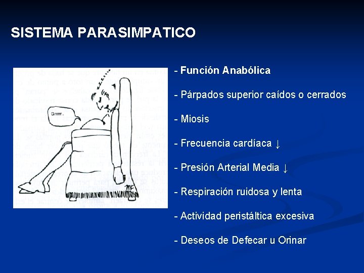 SISTEMA PARASIMPATICO - Función Anabólica - Párpados superior caídos o cerrados - Miosis -