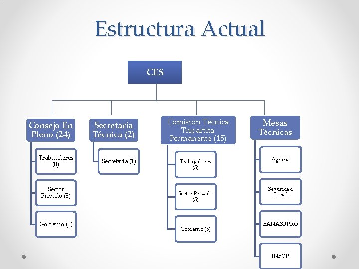 Estructura Actual CES Consejo En Pleno (24) Secretaría Técnica (2) Trabajadores (8) Secretaria (1)