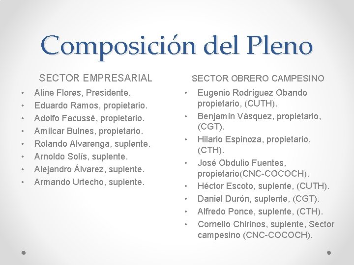 Composición del Pleno SECTOR EMPRESARIAL • • Aline Flores, Presidente. Eduardo Ramos, propietario. Adolfo