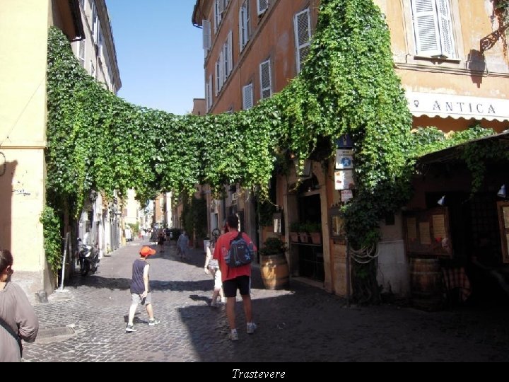 Trastevere 