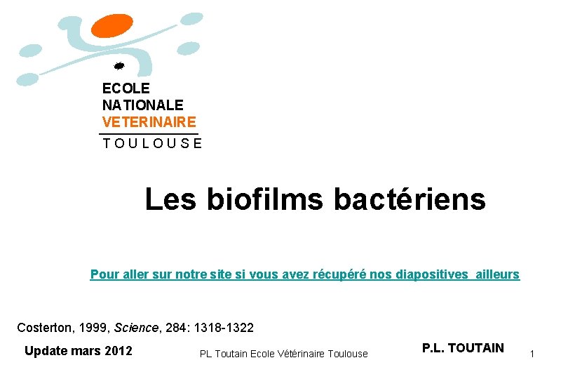 ECOLE NATIONALE VETERINAIRE T O U L O U S E Les biofilms bactériens
