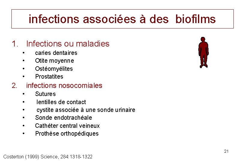 infections associées à des biofilms 1. Infections ou maladies • • 2. caries dentaires