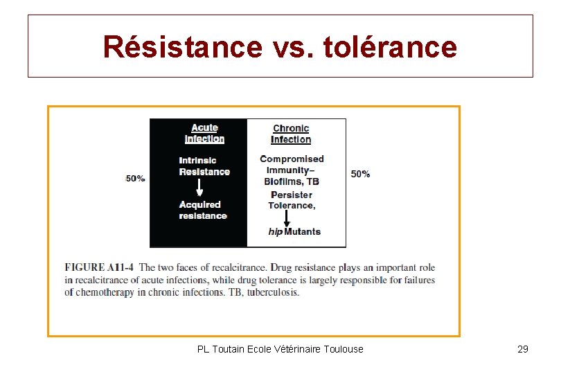 Résistance vs. tolérance PL Toutain Ecole Vétérinaire Toulouse 29 